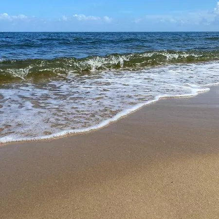 Fiori - Wyspa Sobieszewska