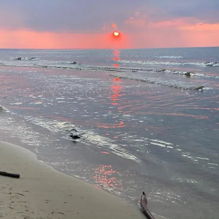 Fiori - Wyspa Sobieszewska Apartman *