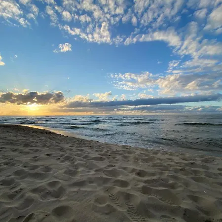 Fiori - Wyspa Sobieszewska * 格但斯克