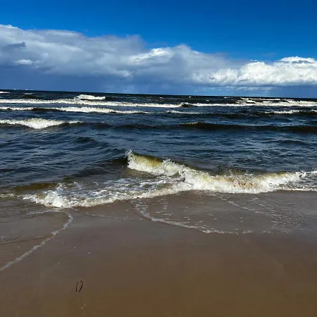 Fiori - Wyspa Sobieszewska