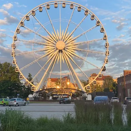 Fiori - Wyspa Sobieszewska