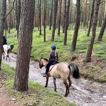 Fiori - Wyspa Sobieszewska