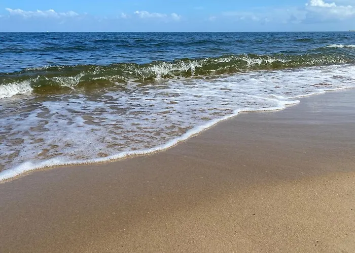 Fiori - Wyspa Sobieszewska