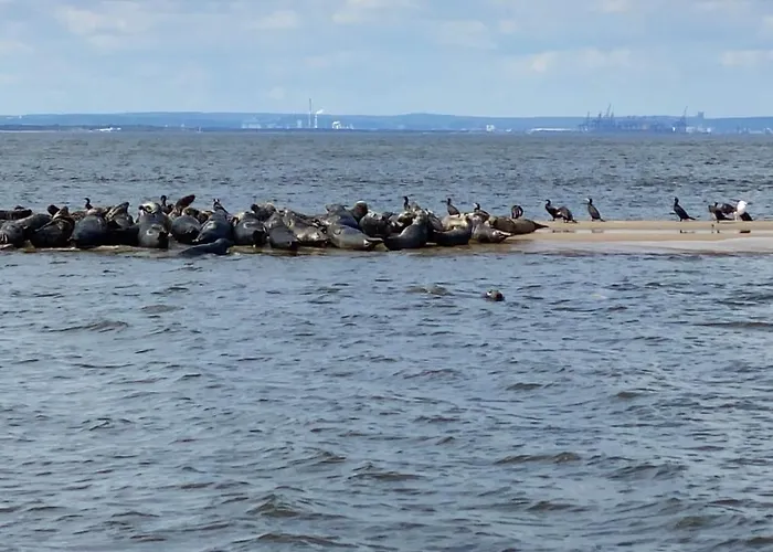 Lägenhet Fiori - Wyspa Sobieszewska