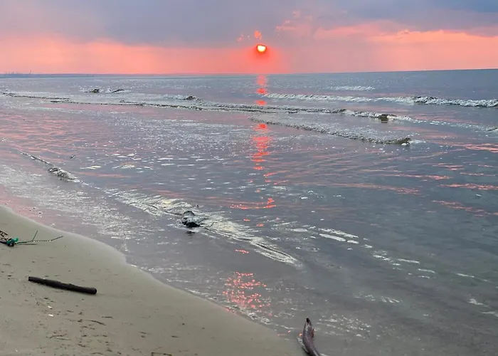 Fiori - Wyspa Sobieszewska Lägenhet *