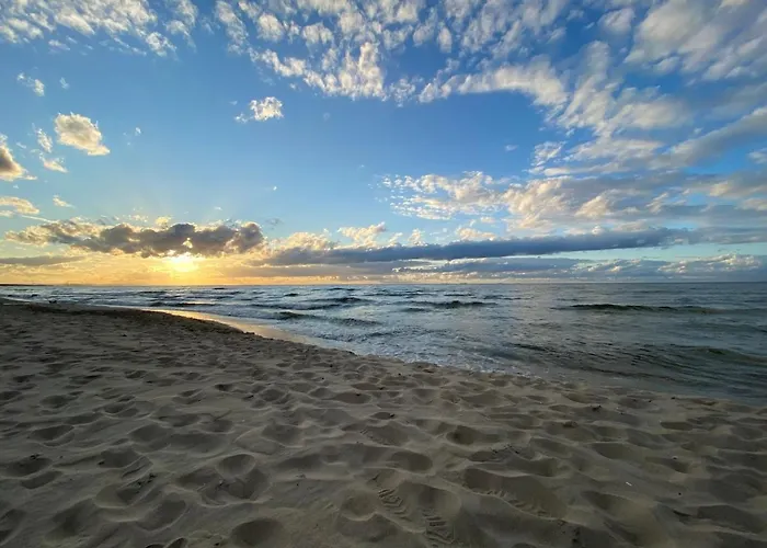 Fiori - Wyspa Sobieszewska * Gdańsk