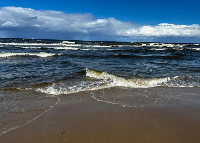 Fiori - Wyspa Sobieszewska