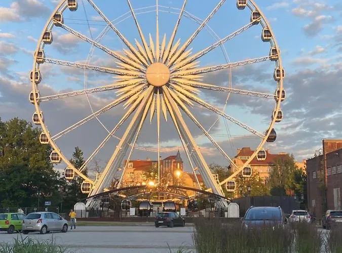 Fiori - Wyspa Sobieszewska