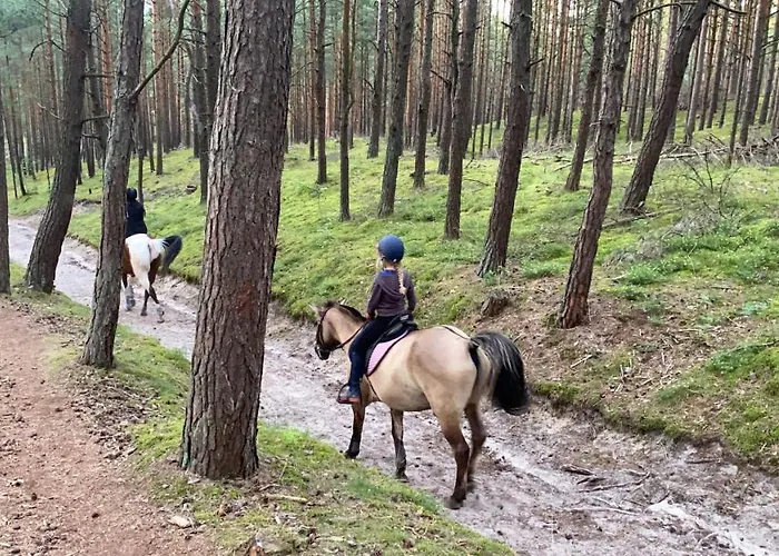 Fiori - Wyspa Sobieszewska