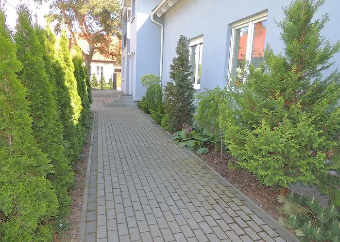 Fiori - Wyspa Sobieszewska * Gdańsk